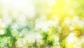 Abstract blurred green bokeh spring nature background. Fresh and natural background Royalty Free Stock Photo