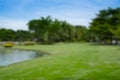 Abstract Blurred image of Green bright nature grass field, tree greenery background Royalty Free Stock Photo