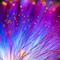 Abstract blurred magenta blue yellow light and flower natural background