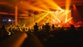 Abstract blurred - people at a rock concert Royalty Free Stock Photo