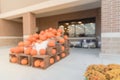 Blurry background Halloween pumpkins and flowers at supermarket entrance in Houston Royalty Free Stock Photo