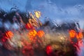 Abstract blurred traffic car light with rain on clear mirror Royalty Free Stock Photo