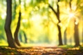 Abstract blurred tree leaves in a natural forest with bokeh light and a sunny backdrop