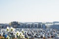 Abstract blurry car park next to modern mall, summer sunny day, with flowers in the foreground. Abstract blurred car Royalty Free Stock Photo