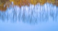 Blurred colorful autumn background of stunning reflection of many leafless trees and bushes with blue sky on river surface Royalty Free Stock Photo