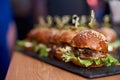 Abstract blurry food background. Small burgers with meat, salads cheese and tomatoes on wooden plate during summer barbecue party Royalty Free Stock Photo