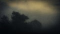 An abstract blurry grainy edit of trees silhouetted on a foggy night. With a dark, eerie atmosphere
