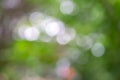 Abstract blurry green, yellow bokeh background using for wallpaper and eco-friendly design