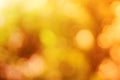 Abstract blurry orange color for background, Blur festival lights outdoor celebration and white bokeh focus texture decorative Royalty Free Stock Photo