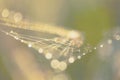 Abstract blurry pastel background with bokeh. Blurred cobwebs in the dew. Abstract with shiny dew drops. Blurred dew lights on a Royalty Free Stock Photo