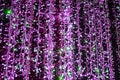 Blur christmas lights Royalty Free Stock Photo