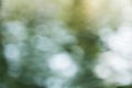 Abstract bokeh and blurred colorful nature background Royalty Free Stock Photo