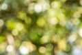Abstract bokeh and blurred colorful nature background Royalty Free Stock Photo