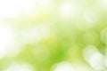 Nature bokeh, abstract background Royalty Free Stock Photo