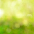 Abstract bokeh green background