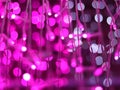 Abstract Bokeh light blurred background, lightbulb on Christmas tree for celebrate season with pink, purple and white colorful def Royalty Free Stock Photo