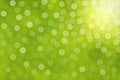 Abstract Bokeh and Light Rays in Green Background Royalty Free Stock Photo