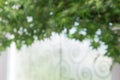 Abstract Bokeh of tree color background Royalty Free Stock Photo