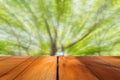 Abstract Bokeh of tree color background Royalty Free Stock Photo