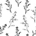 Abstract botanical seamless pattern. Vector herbal background. Royalty Free Stock Photo