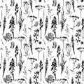 Abstract botanical seamless pattern. Vector herbal background. Royalty Free Stock Photo