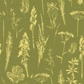 Abstract botanical seamless pattern. Vector herbal background. Royalty Free Stock Photo