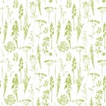 Abstract botanical seamless pattern. Vector herbal background. Royalty Free Stock Photo