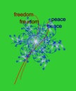 Abstract bouquet of freedom and of peace. Royalty Free Stock Photo