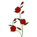 Abstract bouquet of red roses with buds on a white background.