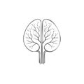 Abstract Brain Organ with Intricate Tree Branches and Veins Network Illustration Royalty Free Stock Photo