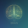 Abstract brain vector illustration. Xray view inside head. Neurology banner