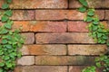 Abstract brick wall stone with weed background. Royalty Free Stock Photo