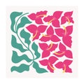 Abstract bright blosson of bougainvillaea. Botanical wall arts with wild floral plants vector illustration.