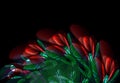 Abstract bright bouquet from luminous red flowers and green leaves
