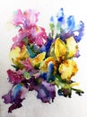 Abstract bright colored decorative background . Floral pattern handmade . Beautiful tender romantic bouquet of iris flowers Royalty Free Stock Photo