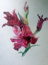 Abstract bright colored decorative background . Floral pattern handmade . Beautiful tender romantic bouquet off gladiolus flower