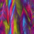Abstract bright feathers of birds Royalty Free Stock Photo
