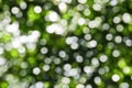 Abstract bright green blurred bokeh background, defocused round green and white lights texture, summer nature shiny glow pattern Royalty Free Stock Photo