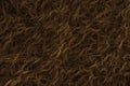 Abstract brown background