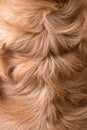 Abstract brown fake animal fur texture. Royalty Free Stock Photo