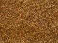 Abstract brown stone / Brown stones in river Royalty Free Stock Photo