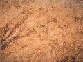 Abstract brown stone texture for background Royalty Free Stock Photo