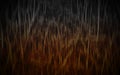 Abstract brown texture and blur motion background, onject, decor, halloween, religion, copy space