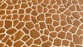 Abstract Brown and White Stone Tile Pattern Texture Background Royalty Free Stock Photo