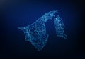 Abstract of brunei Darussalam map network, internet and global connection concept, Wire Frame 3D mesh polygonal network line,
