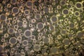 Abstract Bubbles Of Circles In A Colorful Oil Film Pattern For Creative Backgrounds Textures Design Royalty Free Stock Photo