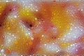 Abstract with bubbles covered macro photo of a flower Royalty Free Stock Photo