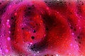Abstract with bubbles covered photo of a red rose Royalty Free Stock Photo