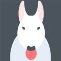 Abstract Bull Terrier