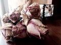 Abstract bunch dead dried pink roses concept death, loss, grief